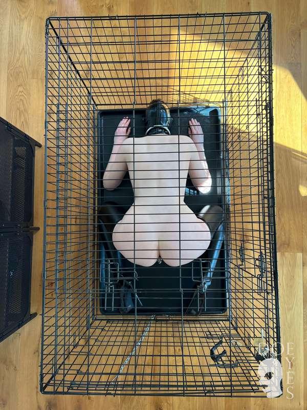 T 🔥 G 🥵 I 😍 F 🍑

Happy Weekend everyone! ❤️

As I was a litt..