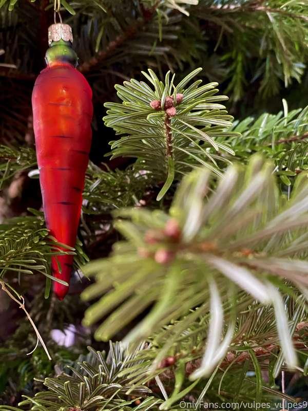 #746💥Wishing you a blessed and beautiful Christmas eve!