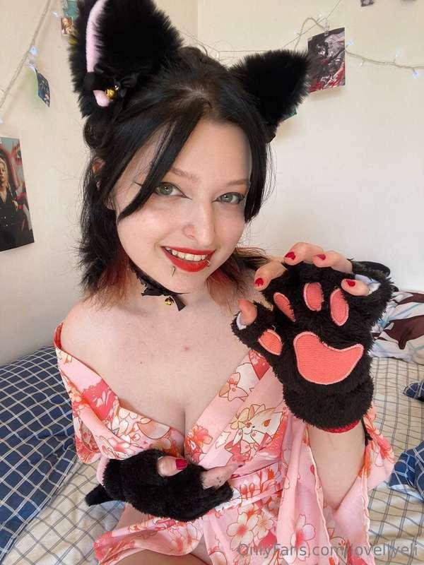 Soft paws, sharp claws, and lots of charm 🐾💖