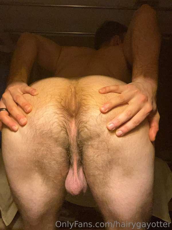 hairygayotter image #2