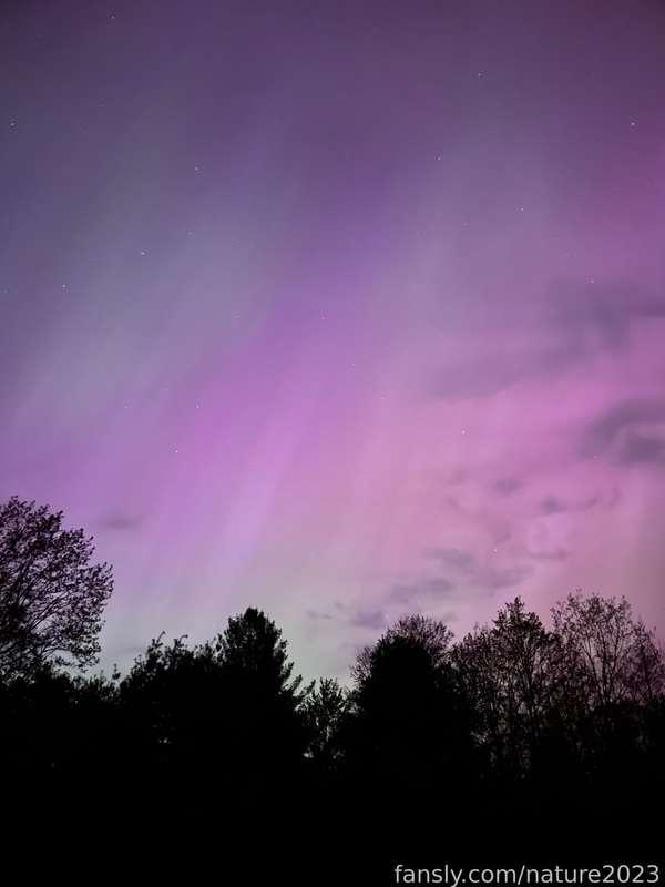nature2023 image #11