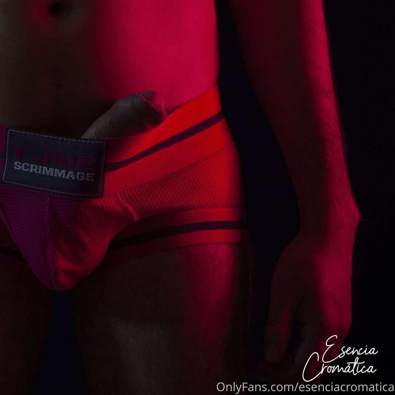 esenciadevatos image #0