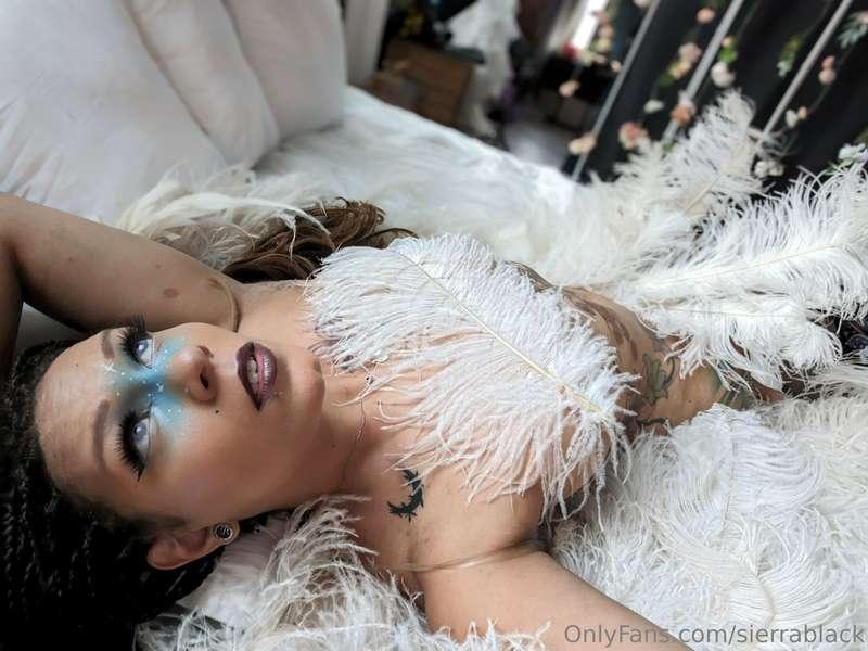 sierrablack image #12