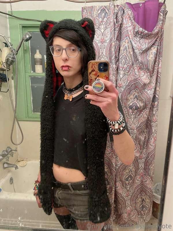 cassiecoyote main image
