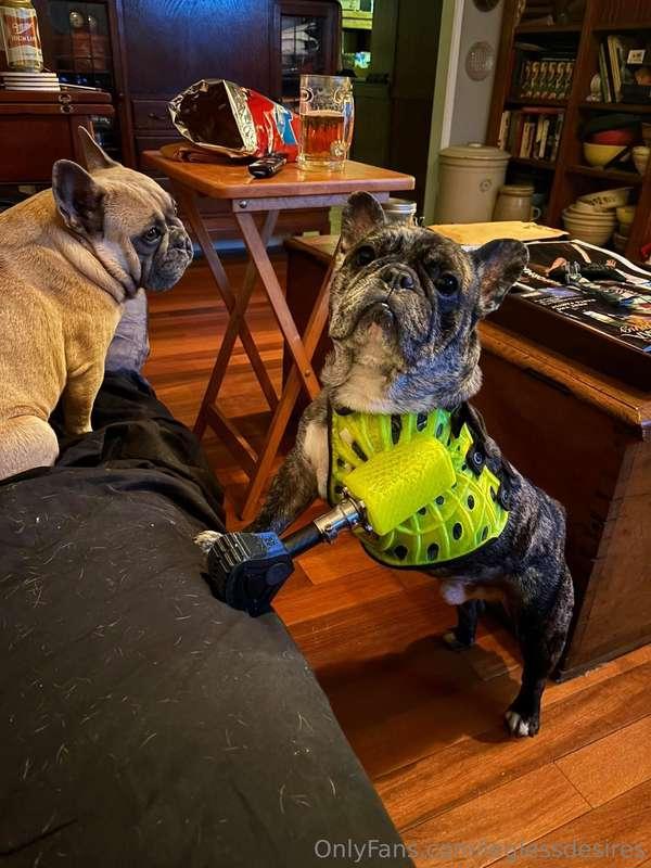 Omg will you just look at him! 💛💛💛