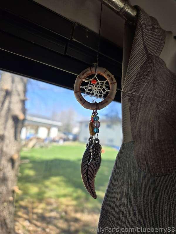 blueberry83 image #3