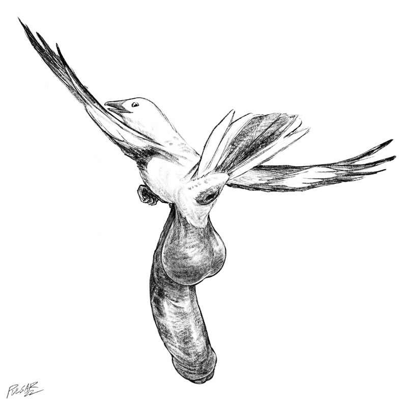 Mockingbird