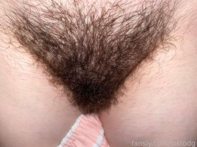I think it's impressive when my bush is so big that it covers my big lips😱

♡ #fyp #pussy #hairy #bush #hairypussy #closeup #naughty ♡