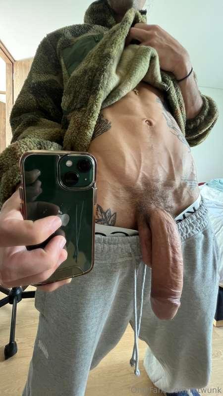 mtwunk image #1