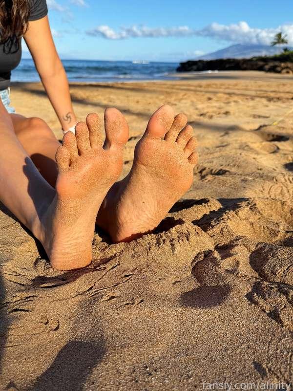 alinity image #13