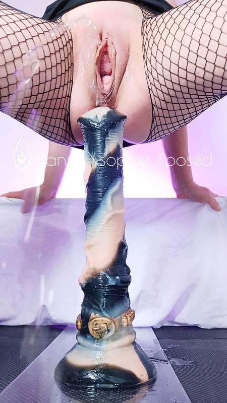 I have a massive kink for horse dildos. They're huge, long, thick, flared dildos that stretch my pocket to an insane level 🫠🐎 XL Hunter Jack from #nothosaur is a girls wet dream of a dildo 🔥💦 

#horsedildo #hugedildo #nothosaur #fantasydildo #deep #extreme #pussystretching #stretching #gapingpussy #stretch #stretched #sizequeen #taboo #fantasytoy #horsecock #bigdildo #fantasytoys #monstercock #monsterdildo #bigtoys #bigtoy