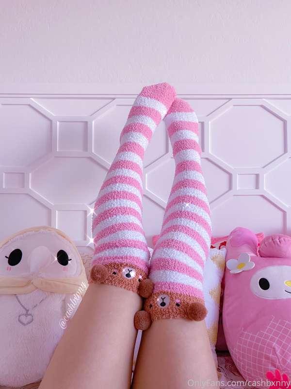 Teddy socks 🧸💕