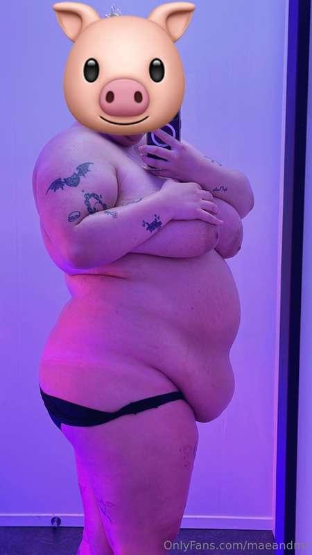 🤫🐷