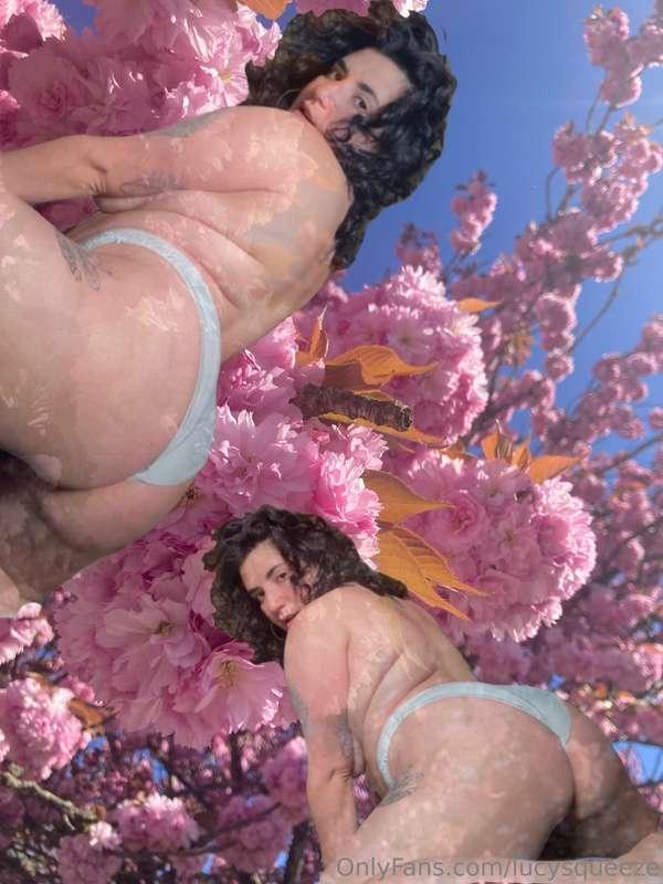 Spring has sprung 💕