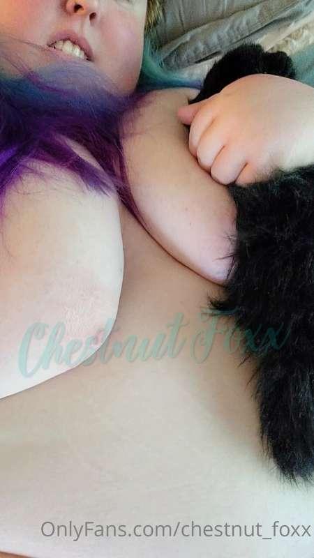 chestnut_foxx image #3