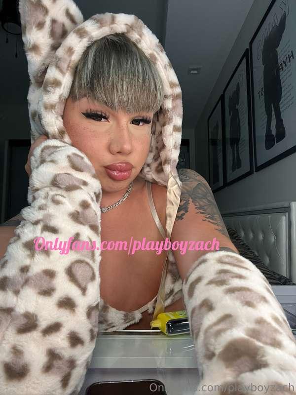 playboyzach image #0