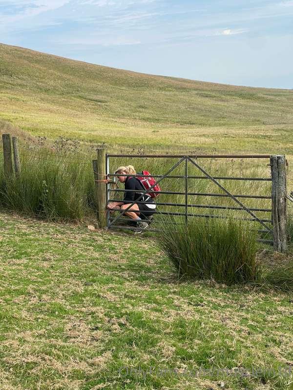 Out for a walk this morning xxx