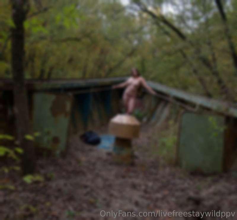 All uncensored nude pictures on my main page @livefreestaywi..