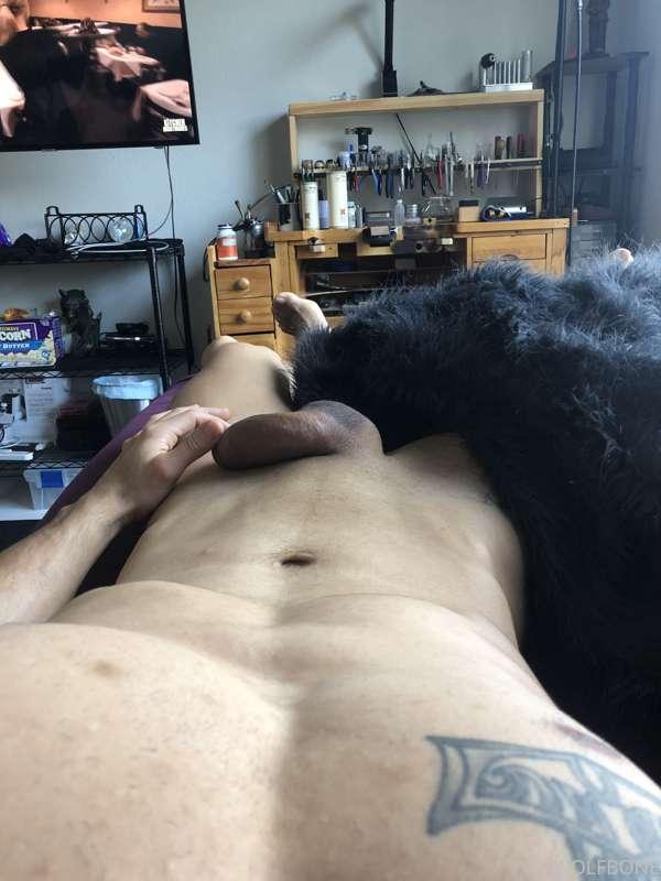 Wolf wants his pups to make sure they get everything they wa..