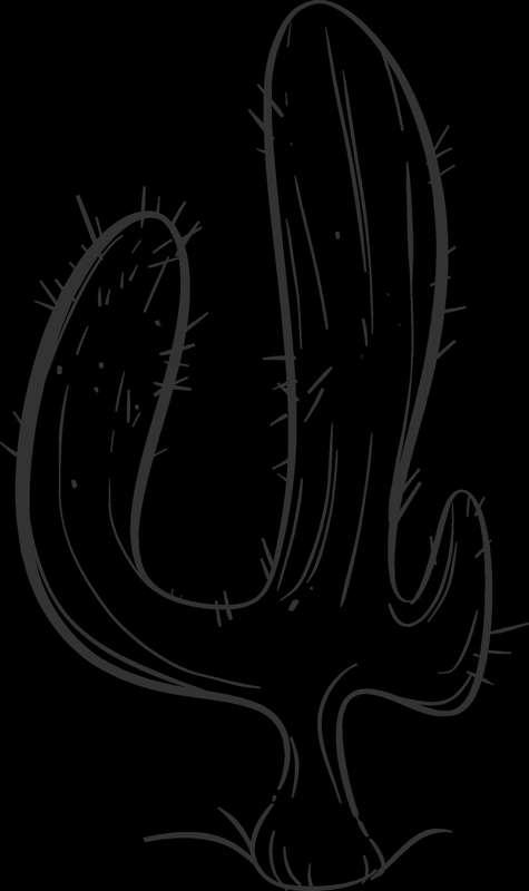Cacti Designs