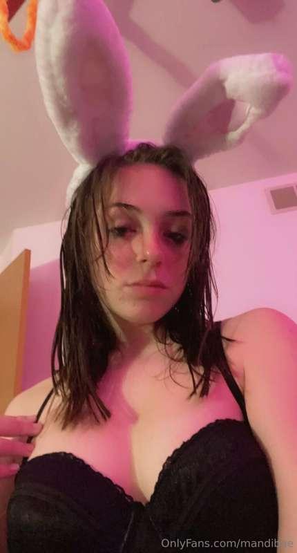 Can I be your bunny baby?