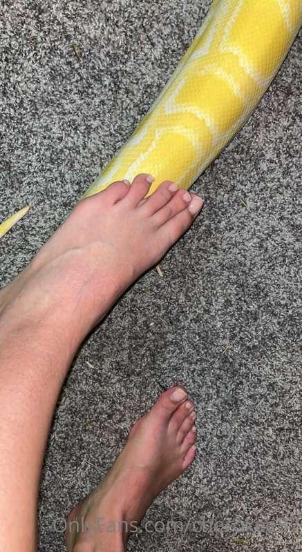 Feet and snake skin!❤️