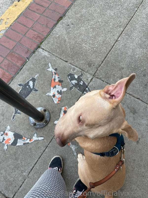 On to my morning jog with this little cutieee 🏃‍♀️