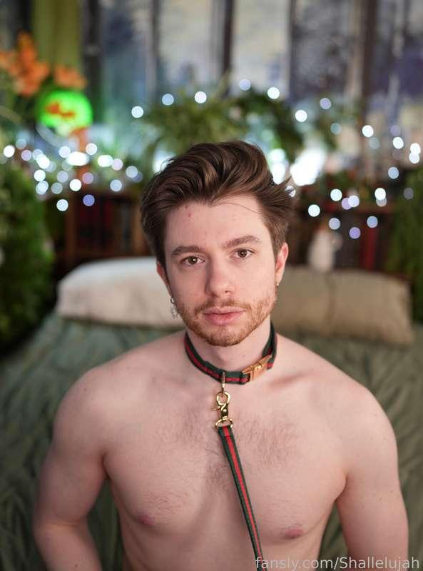 shallelujah image #15