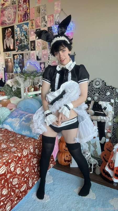 indigowhite image #72