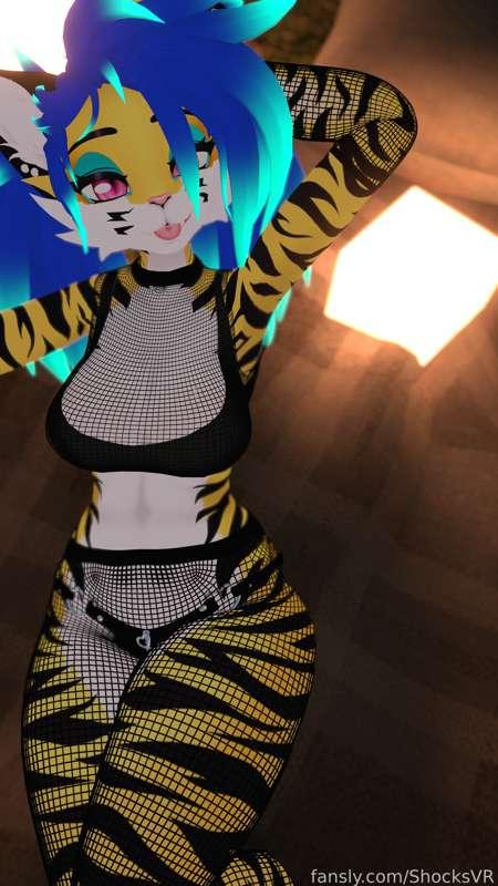 shocksvr image #2