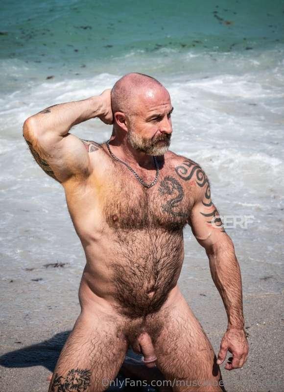 musclebearmontreal image #8