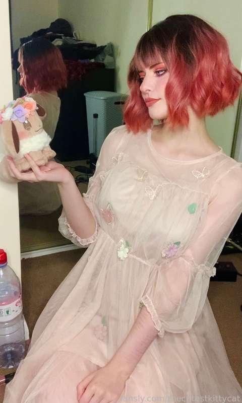 thecutestkittycat image #4