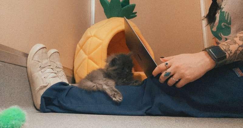 Jellybean and I are doing homework 🥰