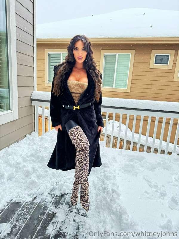 Mob Wife x Snow Day ❄️