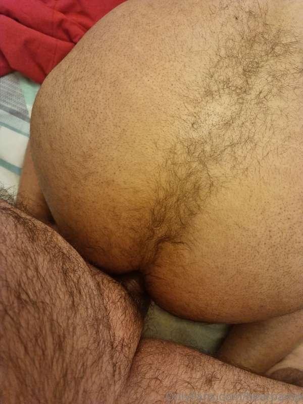 bearpamp image #0