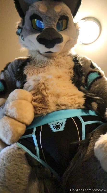 oh its valentines day?! well maby I should get dressed, unle..