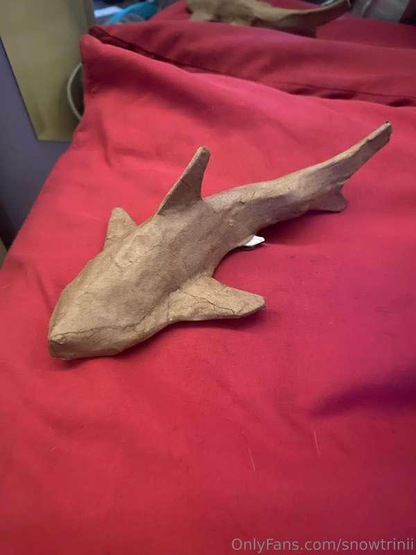 Let’s fuck and make cardboard sharks please