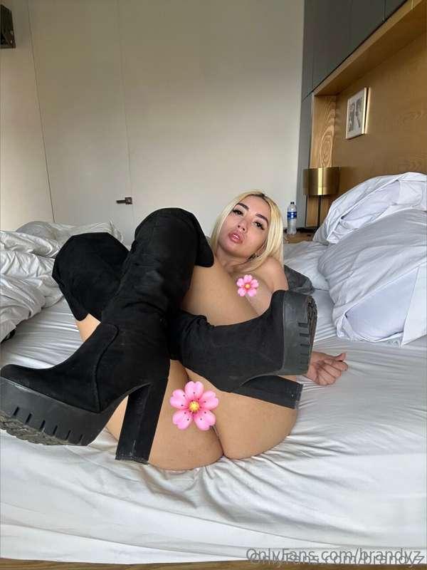 brandyz main image