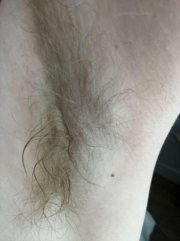 hairyblondie image #3