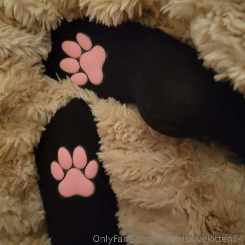 submissivekitten84 image #3