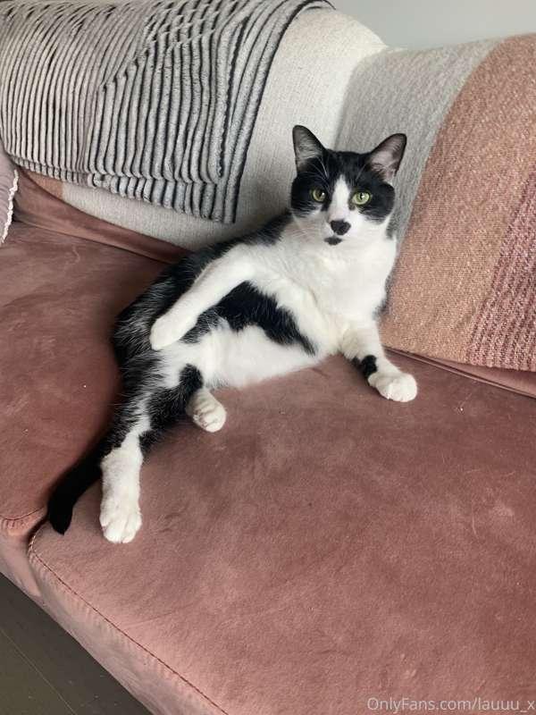 Dunkin says “see? I can be sexy too!!”