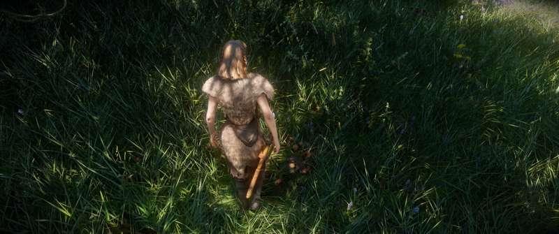 Radnyngar ENB - Adaptation Update