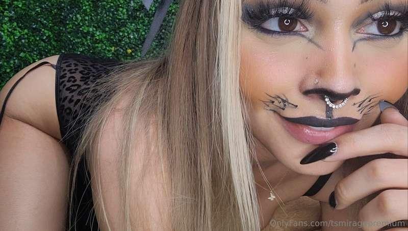 tsmiragepremium image #0