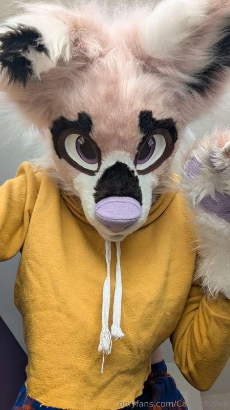 catexclusive image #3