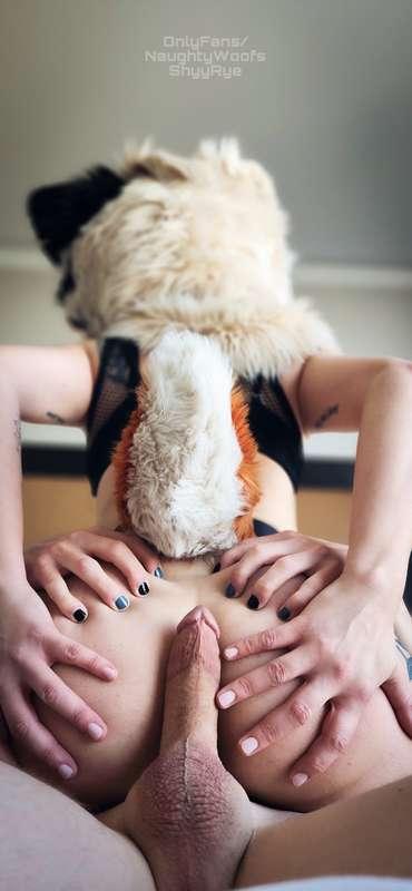 Puppy loves to show off her tricks to a good boy 🐶🔥 @Shyyrye..