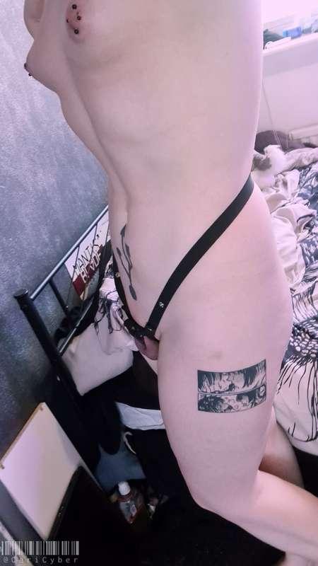 cericyber image #10