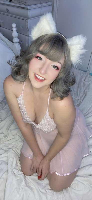 Do you like cat girls?