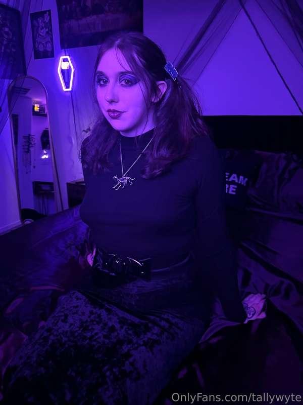 tallywyte image #1