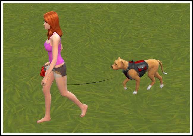 New Mod "Quick Walk (with the Dog)"