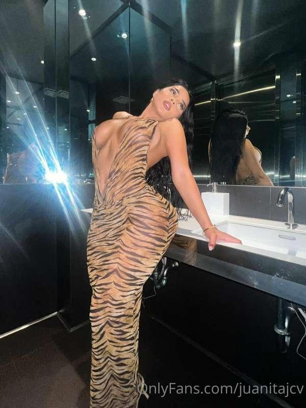 Hiii 🥰🤎🐅💕💕